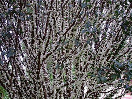 Descri��o: image002