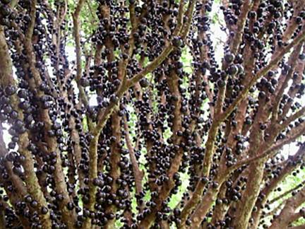 Descri��o: image003